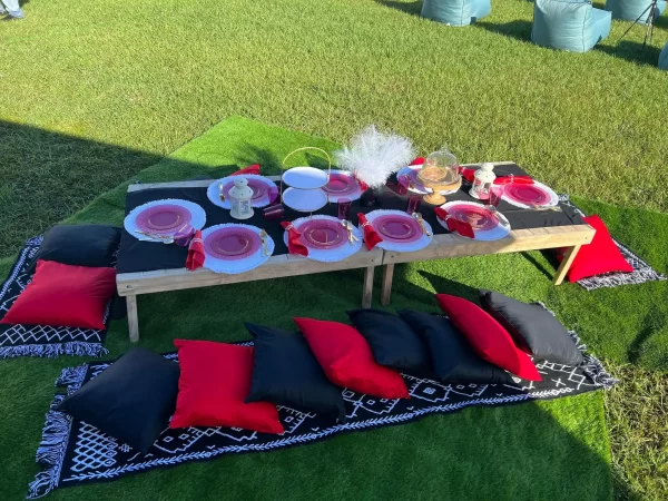 Ultimate Movie Night Setup Training Package - Transform Your Events set up on the grass.